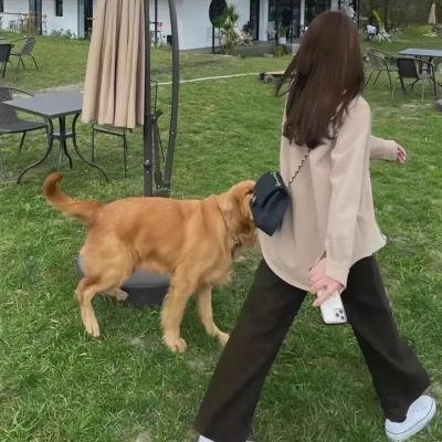 帝皇密令